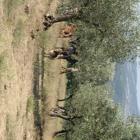 Farm stay Agriturismo Madonna Delle Grazie *