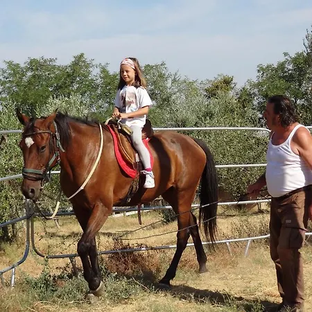 Agriturismo Madonna Delle Grazie Farm stay Citta della Pieve